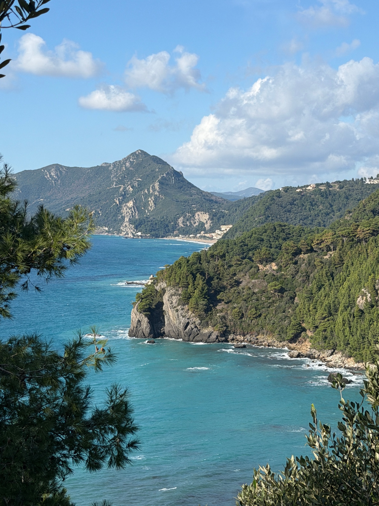 Turquoise coves and pine-covered cliffs on the west coast of Corfu
